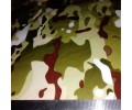 LC 099B