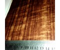LW 039B