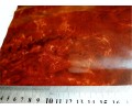 LW 049B