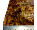 LW 050B