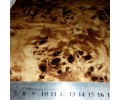 LW 089B
