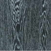 LW 099B-1