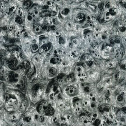 LW 004D