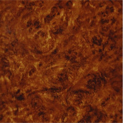 LW 024B