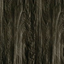 LW 038B