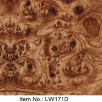 LW 171D