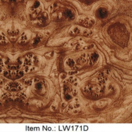 LW 171D