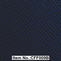 CFF 009B серия