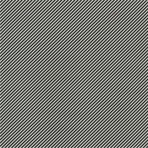 LCF 113A