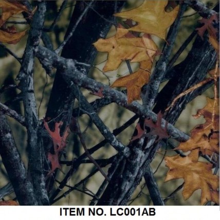 LC 001AB