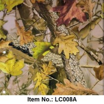 LC 008A