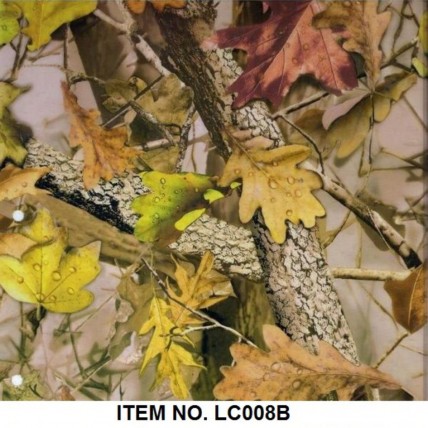 LC 008B