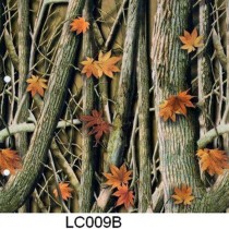 LC 009B