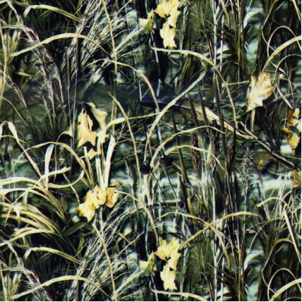 LC 013A