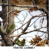 LC 066B-1