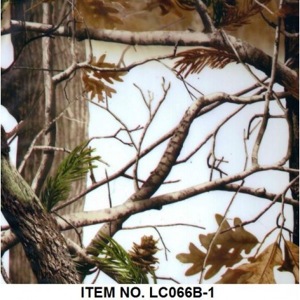 LC 066B-1