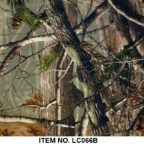 LC 066B