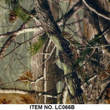 LC 066B