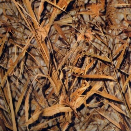 LC 086B
