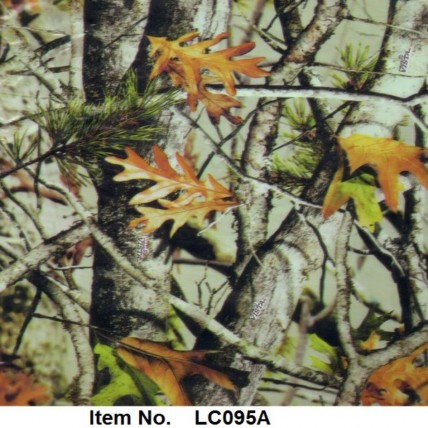 LC 095A