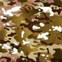 LC 099B