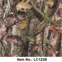 LC 123B
