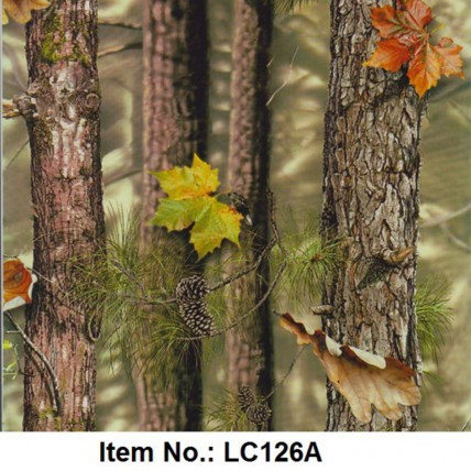 LC 126A