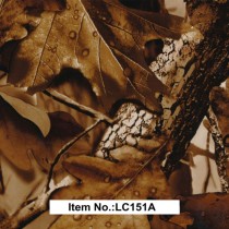 LC 151A
