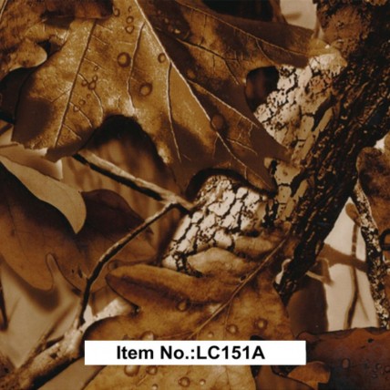 LC 151A
