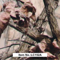 LC 152A