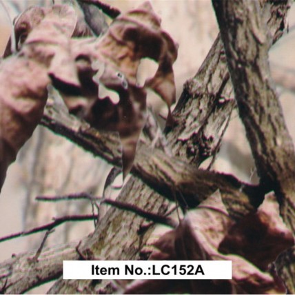 LC 152A