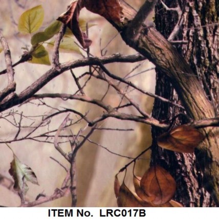 LRC 017B