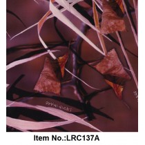 LRC 137A