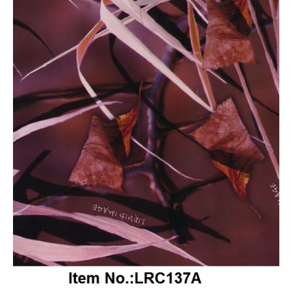 LRC 137A