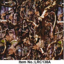 LRC 138A