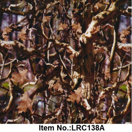 LRC 138A