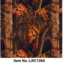 LRC 139A
