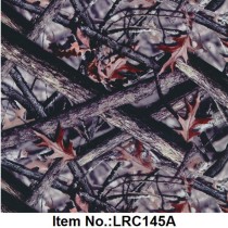 LRC 145A