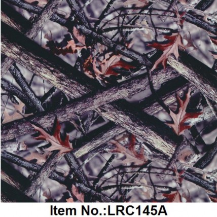 LRC 145A