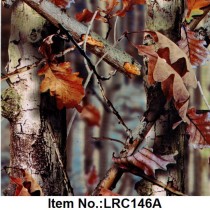 LRC 146A