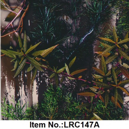 LRC 147A