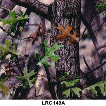 LRC 149A