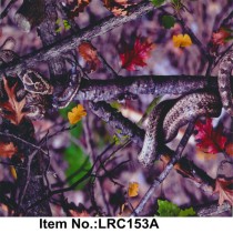 LRC 153A