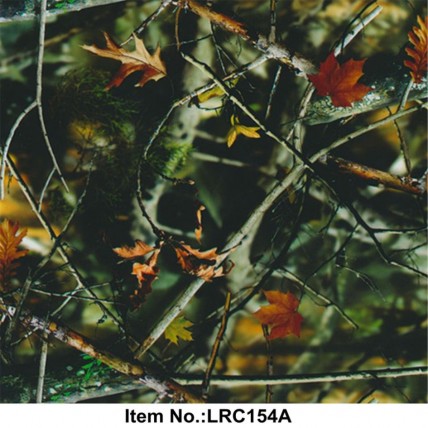 LRC 154A