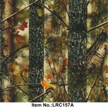 LRC 157A
