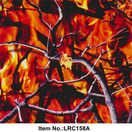 LRC 158A