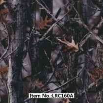 LRC 160A