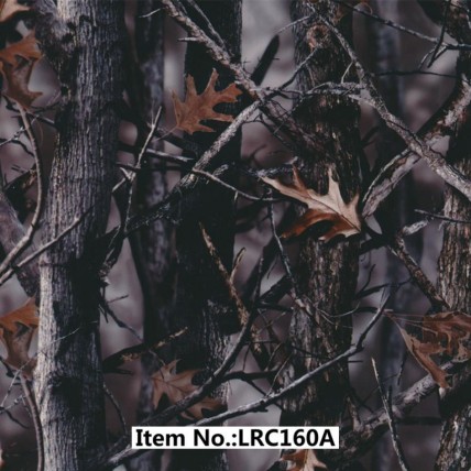 LRC 160A