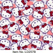 LD 257B
