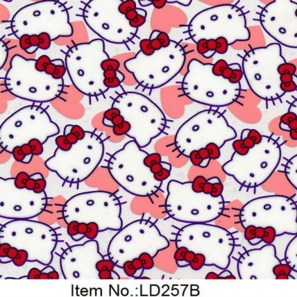 LD 257B